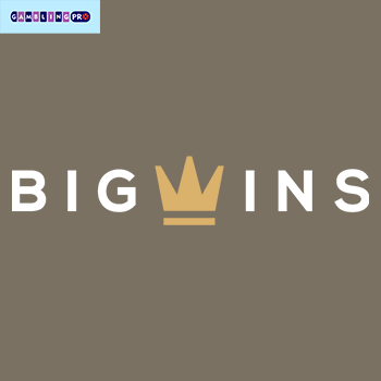 Online Gambling Establishment Perks - VIP Program for High Rollers